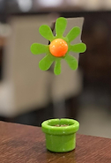 MOOVE  PHOTOCLIP FLOR
