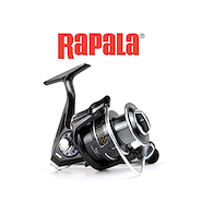 RAPALA SANTA CRUZ 3000 REEL 30 Pejerrey 5 rulemanes