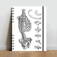 A LA PUPÉ Cuaderno 16  X 21 80 H. Rayado Serie Anatomia - Con elastico