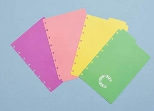 CUADERNO INTELIGENTE Separadores pastel A5 x 4