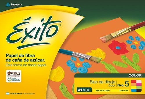 EXITO Bloc N° 5 Color 24 hojas - 120 grs 22x32 cm