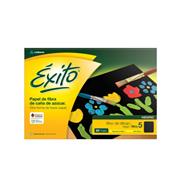 EXITO Repuesto De Dibujo Exito N° 5 Negro Arte Escolar