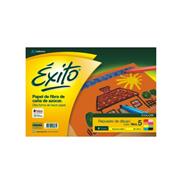 EXITO Repuesto De Dibujo Exito N° 5 Color Arte Escolar