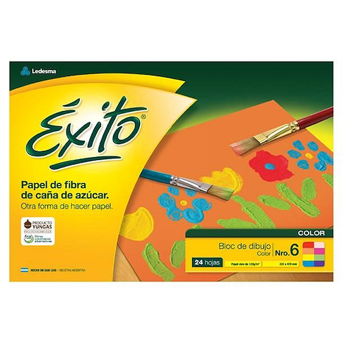 EXITO Bloc N° 6 Color 24 hojas - 120 grs 320 x 470 mm