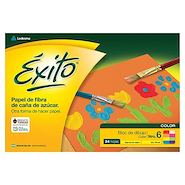 EXITO Bloc N° 6 Color 24 hojas - 120 grs 320 x 470 mm