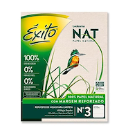 EXITO REPUESTO NAT X 48 H. RAYADO REPUESTOS