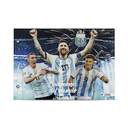 MOOVING Carpeta N° 5 Afa Campeones Carpeta