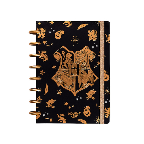 MOOVING Cuaderno Loop a Discos Harry potter 3 Caratulas+ Stickers+80 hjs. Rayadas+Stencil+Sobre Plastico