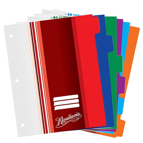 RIVADAVIA Separadores Escolares Pvc C/lengueta Carpeta