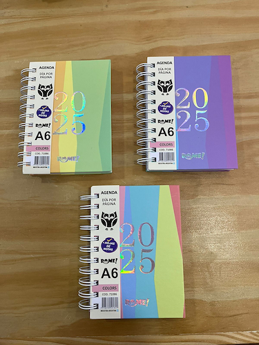 ROME Agenda A6 Colors Diaria