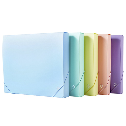THE PEL Caja Plastica Carpeta con Elastico