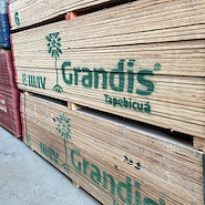 GRANDIS 18mm 3/4 244x122 Multilaminado Fenolico