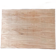 MAZTER Euca 18 mm 220 x160 Multilaminado Fenolico