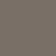 REHAU PVC x 10 Metros CANTO 22 mm x 0,45 mm