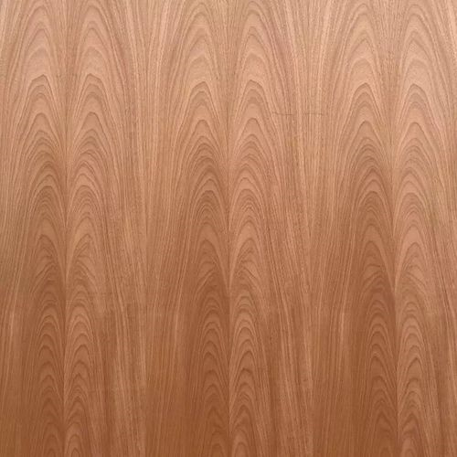 SIN MARCA Cedro 4 mm 3° Calidad 220x160 Terciado Brasil
