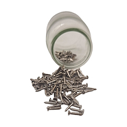 SAMBONG WF2515  Cromado  c/u Tornillos  2.5 x 15  c/u