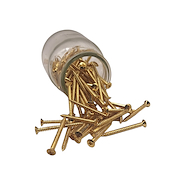 SAMBONG WO4242  Dorado  c/u Tornillos Neck Plate  c/u