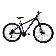 FIRE BIRD 29-21WOO-MTB R29