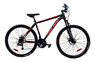 FIRE BIRD 29-21WOO-MTB R29