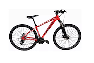 FIRE BIRD 29-21VAC-MTB R29