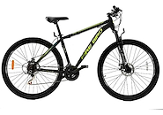 FIRE BIRD 29-21WOO-MTB R29