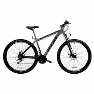 FIRE BIRD 29-21VAC-MTB R29