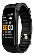 SOUL FIT300 Smartband fit