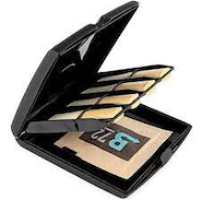 DADARIO RVCASE04