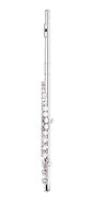 STAGG WSFL111
