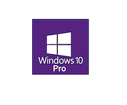 MICROSOFT WINDOWS 10 PRO 64B