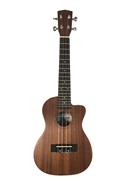 ASHLAND Uk216c Ukelele Concierto Diapasón Y Puente Rosewood Tapa Sapale