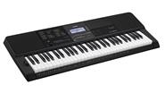 CASIO Ct-x800 Teclado 61 teclas standard sensitivas 600 sonidos aix Usb