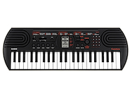 CASIO Sa-81 Teclado Portatil Mini 44 Teclas 100 Sonidos 32 Polifonías