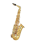 PARQUER Psad Saxo alto custom dorado llave fa# estuche