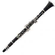 STAGG Wscl110 Clarinete 17 llaves Bb boehm estuche abs