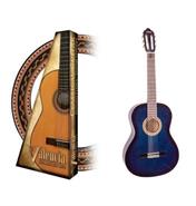 VALENCIA Vc102bus Guitarra Clasica Estudio Tamaño 1/2 Azul Esfumado