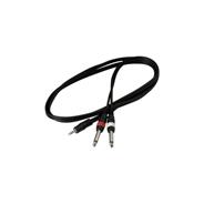 WARWICK Rcl 20912 D4 Cable Plug 3.5 Stereo A 2 Plug 6.5 Mono 1,5 Mts