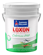 SHERWIN WILLIAMS Loxon Latex Cieloraso x 20