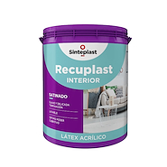SINTEPLAST  Recuplast Int Satinado x 1