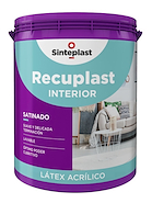 SINTEPLAST  Recuplast Int Satinado x 20