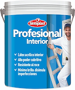 SINTEPLAST Profesional Latex Int x 20