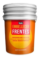 VENIER Embellecer Latex Frentes x 25