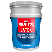 VENIER Embellecer Latex Int Ext x 25