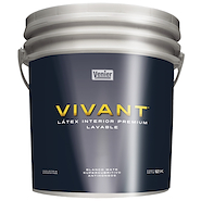 VENIER Vivant Latex Int x 12