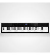 Piano Electrico Artesia-Teclas semipesadas ARTESIA PE88WBK