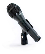 Mic Condenser Elite Para Voz Principal Y Segundas Voces Idea AUDIX VX10