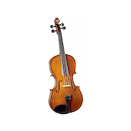 Viola | Estudio | 16