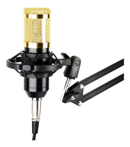 Microfono condenser de estudio con rejilla FZONE BM-800 - $ 46.597