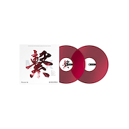 Discos de Vinilo de control PIONEER RB-VD2-CR