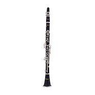 CLARINETE STAGG 